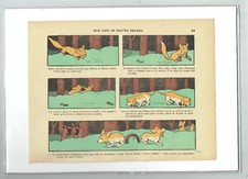 Benjamin Rabier - Une Idée de