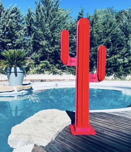 Cactus design déco jardin