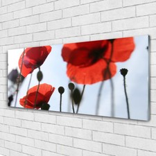 Impression sur verre Image tableaux 125x50 Floral Coquelicots
