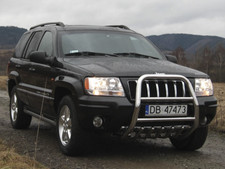 Pare buffles acier inox