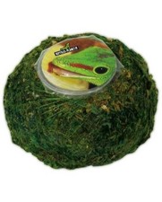 Reptiles Planet Repti Moss