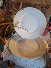 2 grands plats Terre de fer blanc deco campagne shabby chic