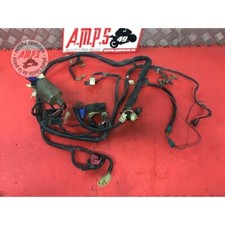 Faisceau électrique