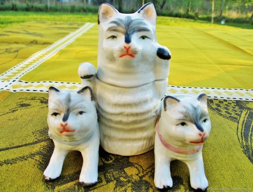 Set vintage pour chats - set, sel