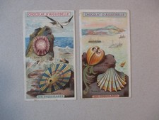 Lot de 2 Chromos Aiguebelle Les coquillages Coeur de boeuf, Bucarde, patelle ...