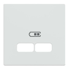 Plaque centrale pour station