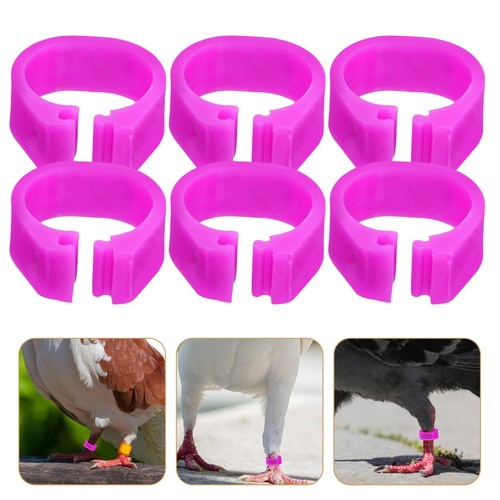 100 pcs pigeon bague - 100,