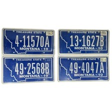 MONTANA (V3) : Plaque immatriculation US  30x15cm plate