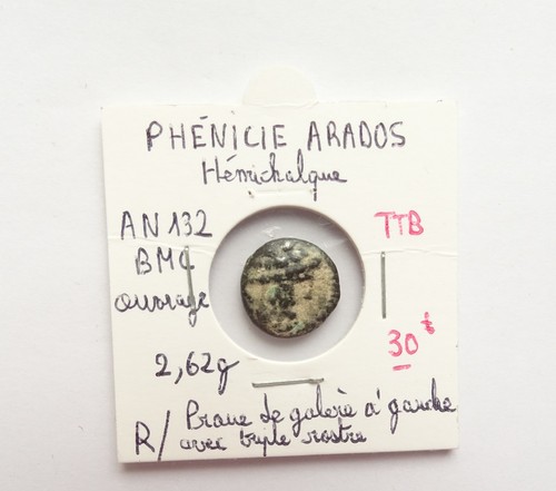Hémichalque phénicie arados - hémichalque,