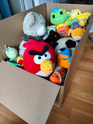 Peluches ours dauphin - 30,