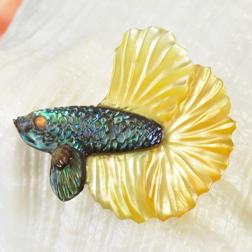 Poisson combattant siamois - combattant,