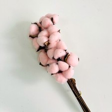Préservés coton branches - préservés,