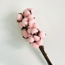 Préservés Coton Branches