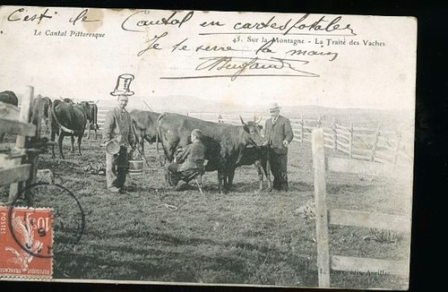 Auvergne traite des vaches - des,