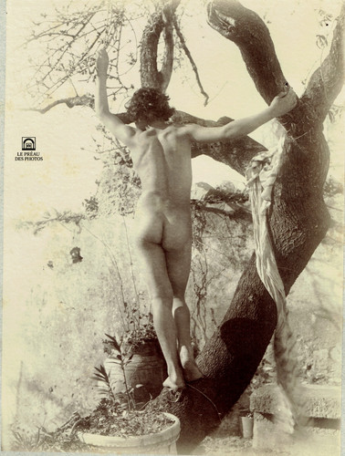 Photo baron von gloeden - baron,