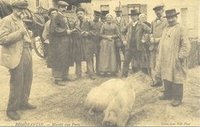 Carte postale ROMORANTIN - MARCHÉ AUX PORCS - 1990 (Réédition)