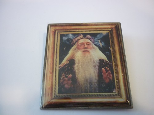 Harry potter portrait pin - harry,