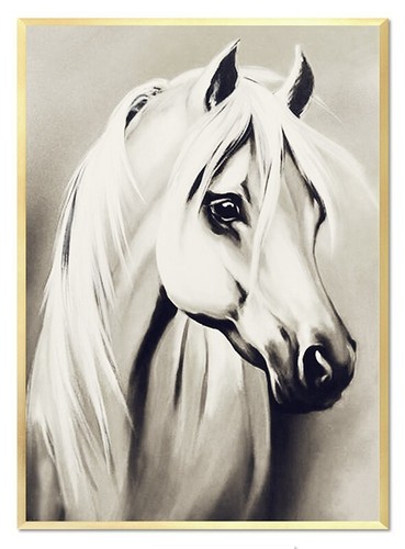 Cheval 53x73cm peinture - 53x73cm,