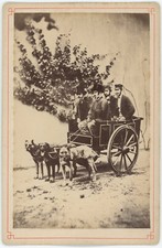 Cabinet Zazzarini & Co à