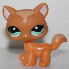 Petshop Chat Main coon # 1100