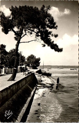 Cap ferret carte - ferret,