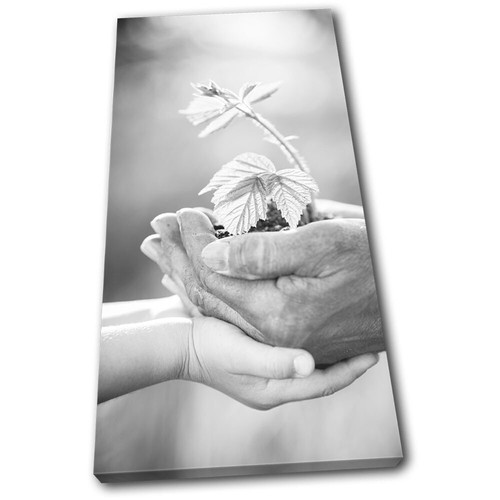 Grandfather gardening eco - gardening,