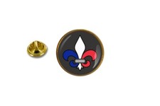 pins pin badge pin's metal avec pince papillon fleur de lys drapeau france
