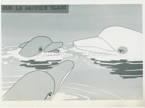 Oum dauphin blanc - le,