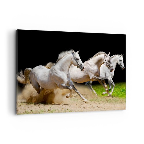 Impression sur toile - sur, 100x70cm