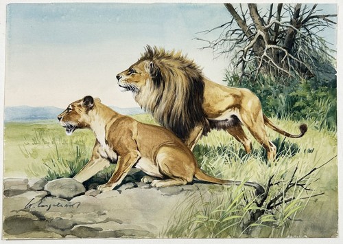 Wilhelm engelhart lion - wilhelm,