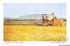 BO-BFP1-0213-ISRAEL - Harvest in the emek
