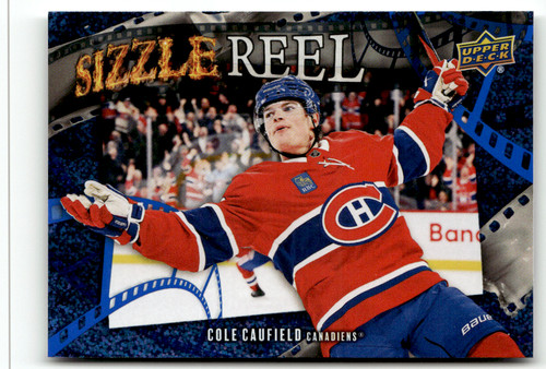 Upper deck série nhl - série, 2