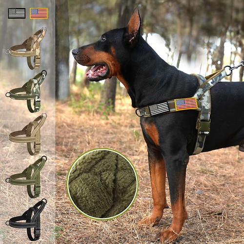 Harnais tactique pour chien - harnais,