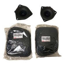 Haut-parleurs arrière -