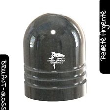 Poudre Polyester Vernis Incolore Pailleté Argenté Brillant N°05 Finition Gloss