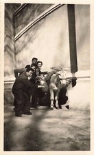 ANCIENNE PHOTO NOIR ET BLANC VERS 1950 VIE QUOTIDIENNE ANE PORTEUR DE POT A LAIT