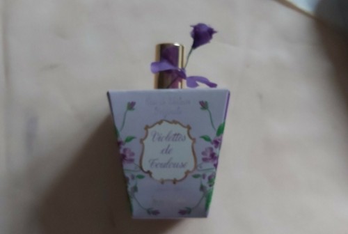 Violette toulouse eau - toulouse,