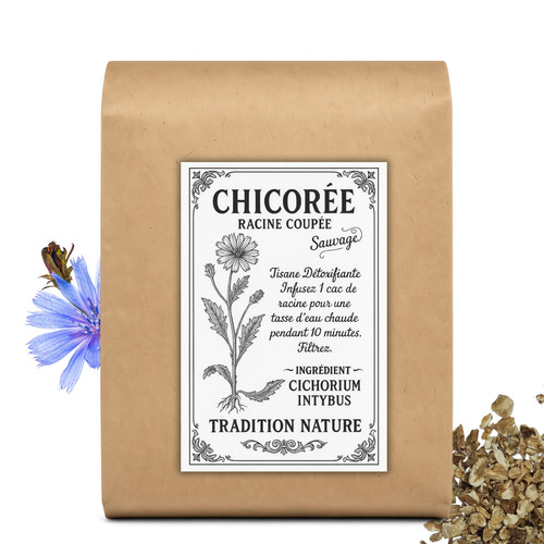 Chicorée sauvage racine