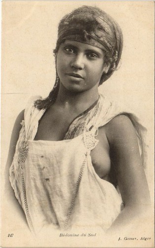 Geiser bedouine sud - bedouine,