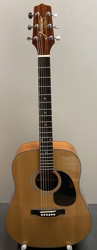 Jasmine acoustic guitar - jasmine,