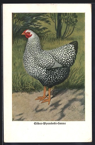 Carte postale artiste - postale, d'artiste