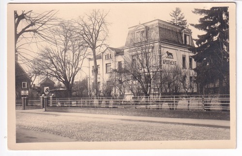 Pharmacy after 1936 - 1936:, lion