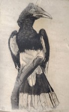 Beau Dessin Au Fusain Du Grand