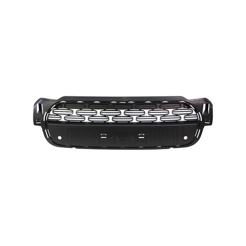 Grille pare choc - pare-choc, avant