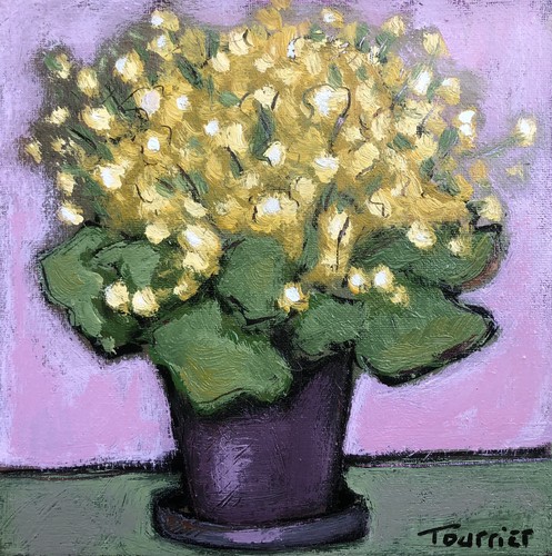 Tableau plante fleurie dans - dans, un