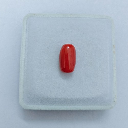 Cabochon corail rouge