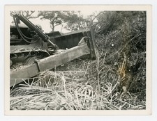 PHOTO amateur SNAPSHOT