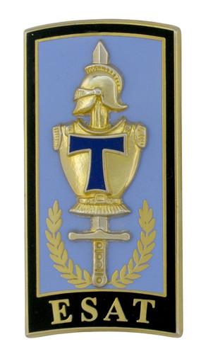 Insigne militaire military - insigne, (military