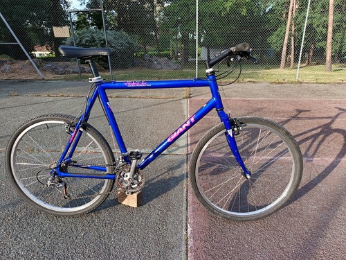 Vtt vintage giant - vtt, track