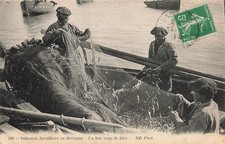 29 UN BON COUP DE FILET